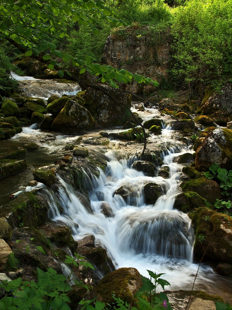 Бистра водица, мирна главица