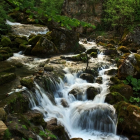 Бистра водица, мирна главица