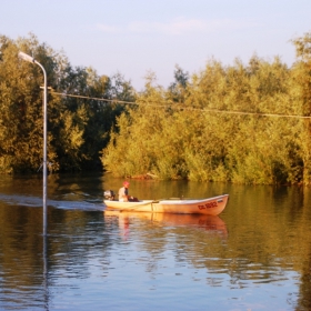 Под лампата