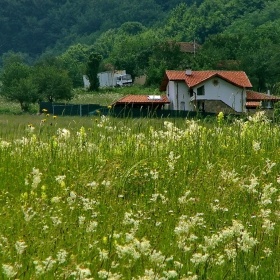 В полите на Стара планина...