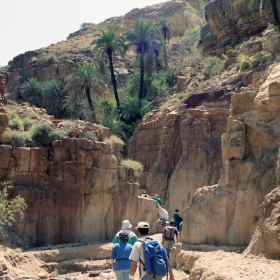 A green canyon in the desert