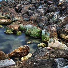 sea stones