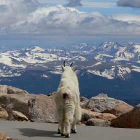 #2 Mount Evans, Rocky Mountains,  Colorado, 14,264 feet