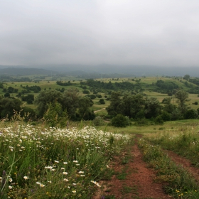 Облачно