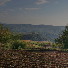 Залезно край с. Вълкосел