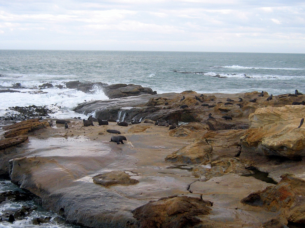 Seals