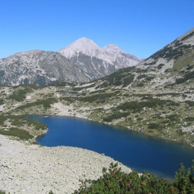 pirin