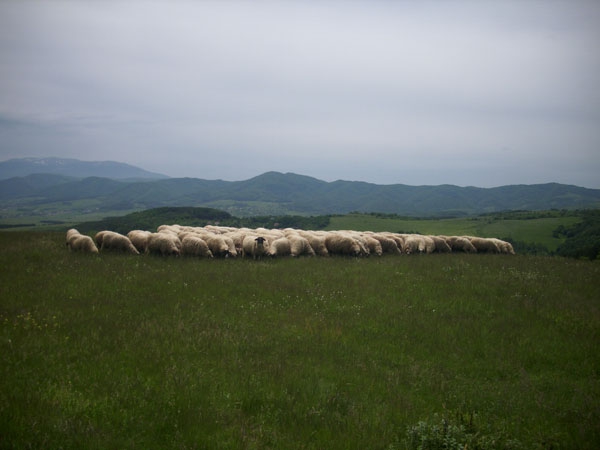 На Люлин планина