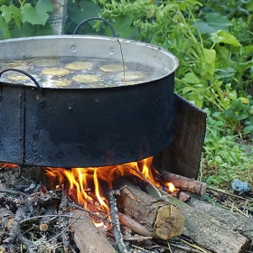 Някои ходят по света, а други си стоят у нас! Някои почиват в скъпи курорти, а други варят компоти! Кой както се уреди ;)