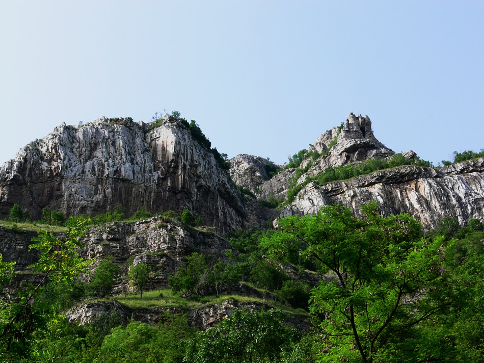 Лакатник