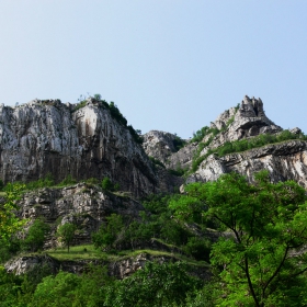 Лакатник