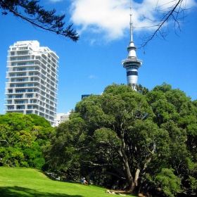 Sky Tower in the sky