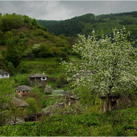 Спомен от Долен