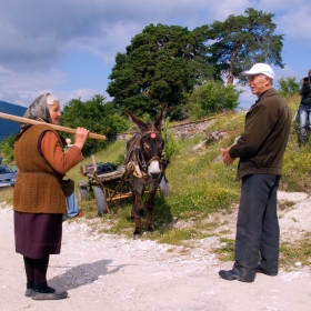 Моделите от Равногор 2010