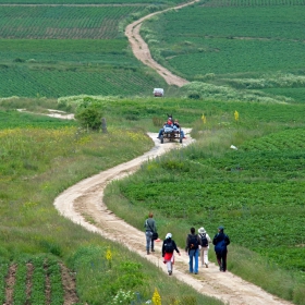 Дългият път към бирата