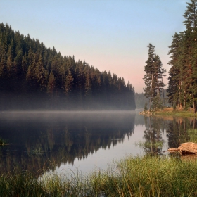 яз. Широка поляна