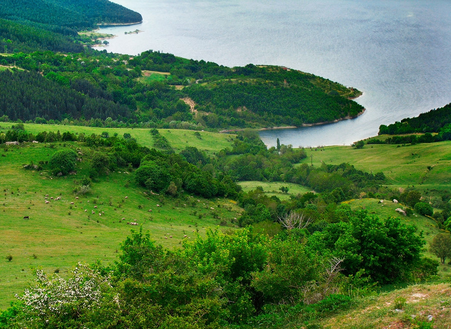 Край язовир Кърджали