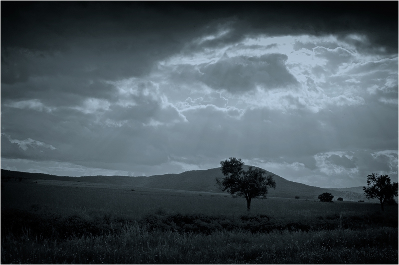 Средна гора b/w