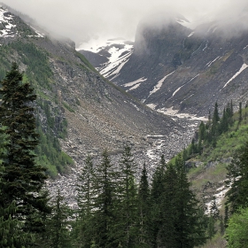 Rainier Mt.