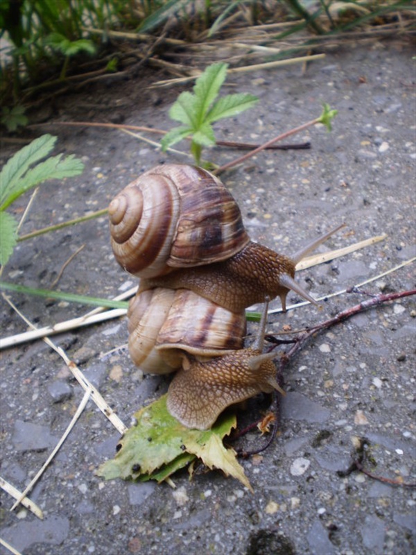 love is in the air,everywhere I look around