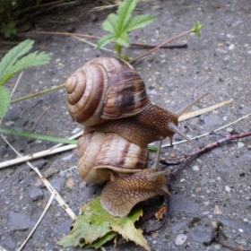 love is in the air,everywhere I look around