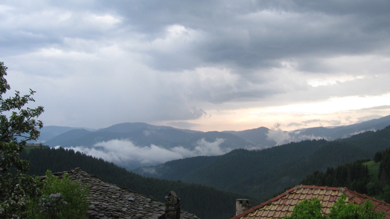 Памук
