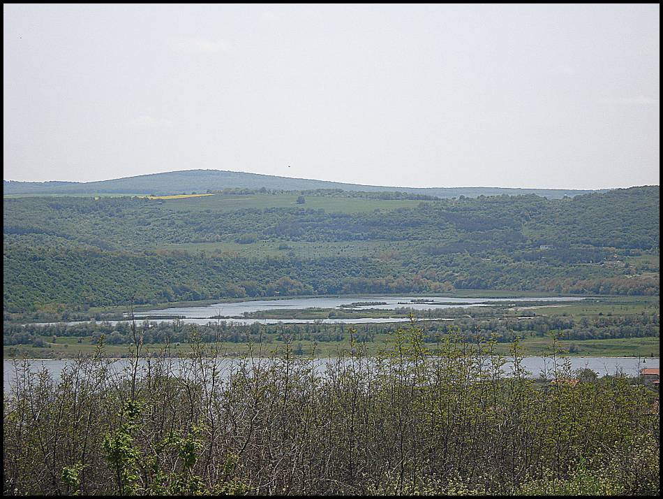 Резерват 