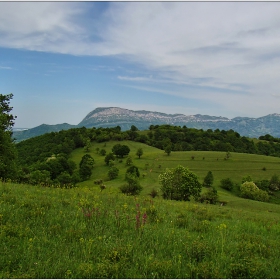край Вършец