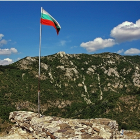 Трибагреник