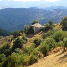 Красота