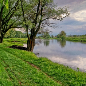 Път край реката