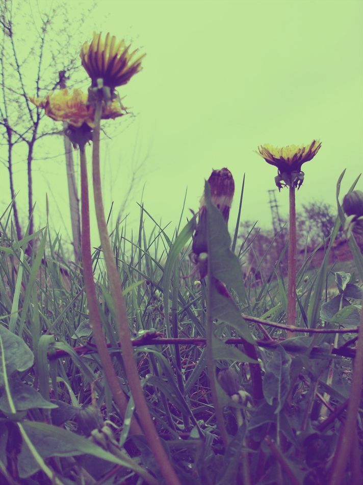 yellow w0rld