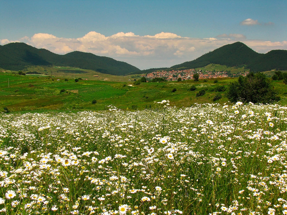 Равногор