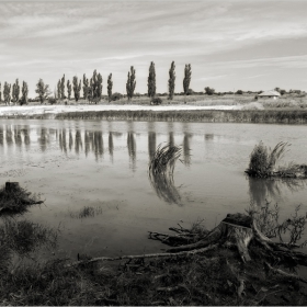 Рибариада...3_BW