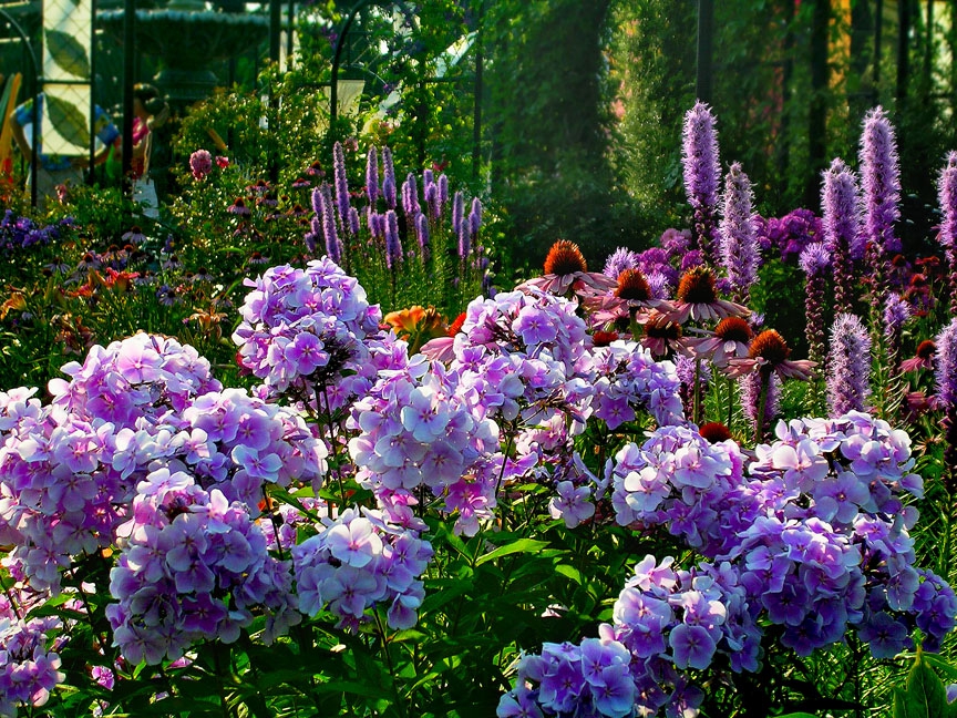 Munsinger Garden: цветя