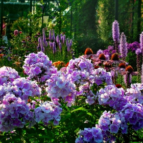 Munsinger Garden: цветя