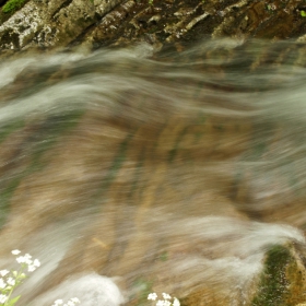 Бързата вода