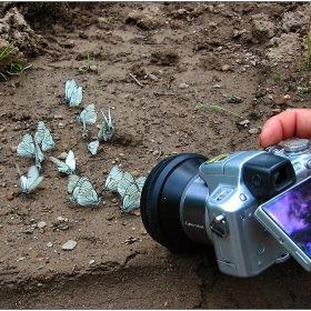 фотосесия