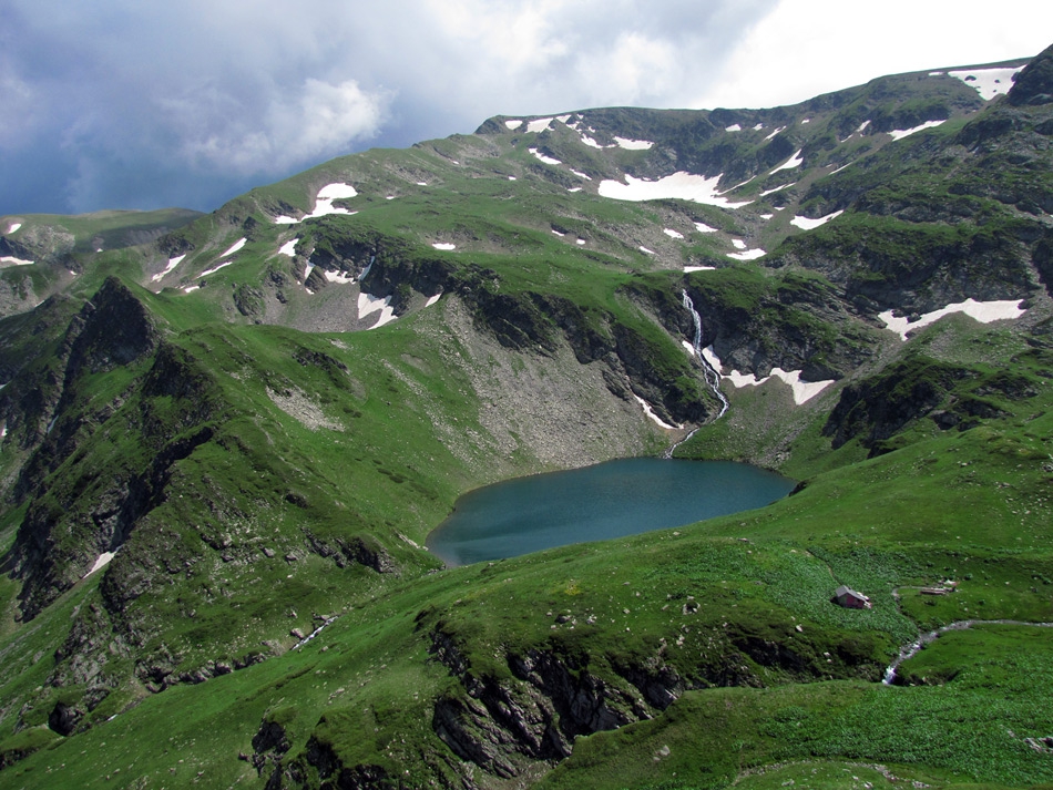 Паницата