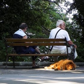 ...Слънцето огрява там където трябва...