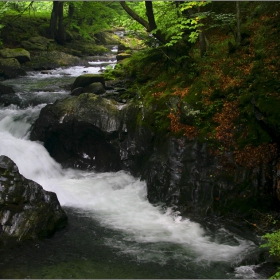 Жива вода...
