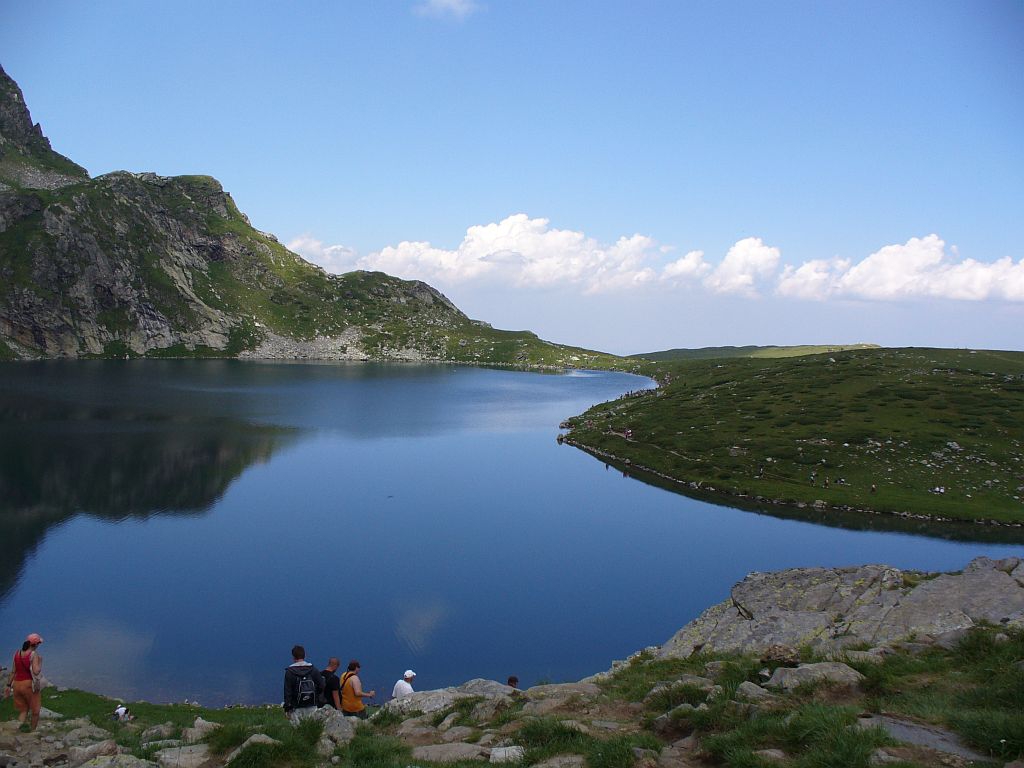Бъбрека