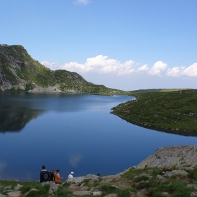 Бъбрека