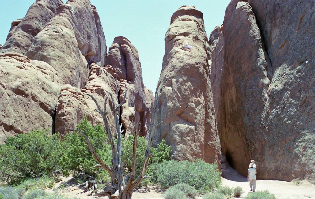 A wild sand canyon - USA