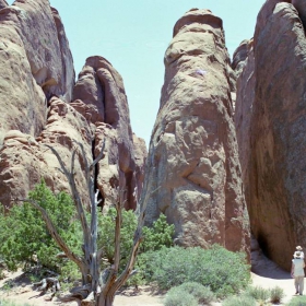 A wild sand canyon - USA