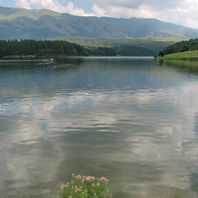 Облакът, който се огледа във водата и съзря красивото цвете...