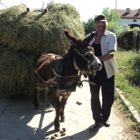 Снимка без име