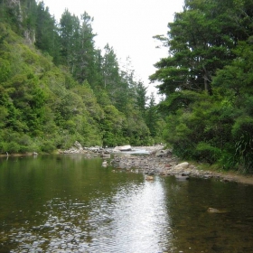 Reinforest river 2