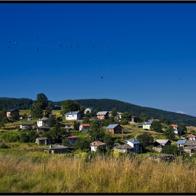 Село, жици и малко птици