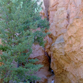 In Brice Canyon Park - USA